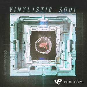 VINYLISTIC SOUL