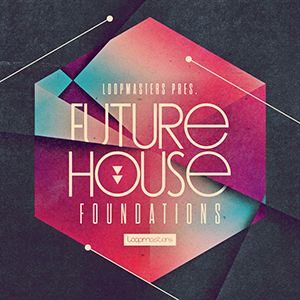 FUTURE HOUSE FOUNDATIONS