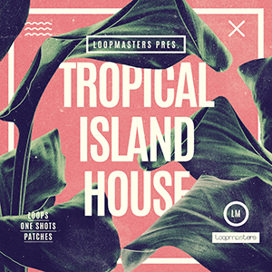 TROPICAL ISLAND HOUSE
