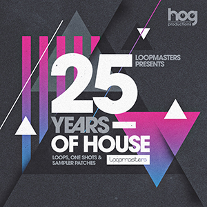 GIANNI BINI PRESENTS 25 YEARS OF HOUSE
