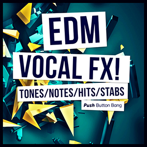EDM VOCAL FX
