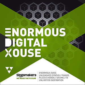 ENORMOUS DIGITAL HOUSE