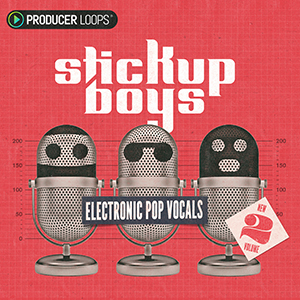 STICK UP BOYS ELECTRONIC POP VOCALS VOL 2