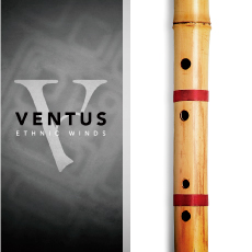VENTUS ETHNIC WINDS - BANSURI