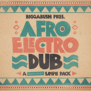 BIGGABUSH - AFRO ELECTRO DUB