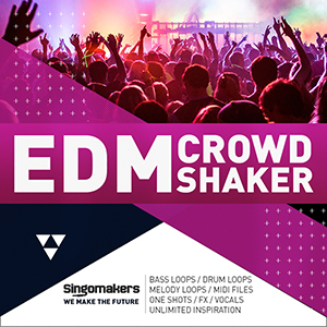 EDM CROWD SHAKER
