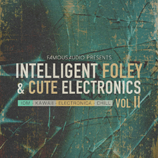 INTELLIGENT FOLEY & CUTE ELECTRONICS VOL. 2