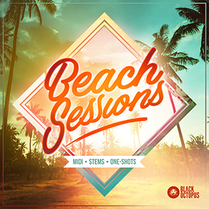 BEACH SESSIONS