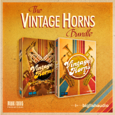 VINTAGE HORNS BUNDLE