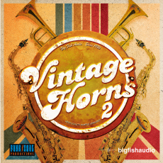 VINTAGE HORNS 2