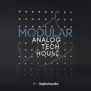 MODULAR ANALOG TECH HOUSE