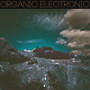 ORGANIC ELECTRONIC
