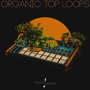 ORGANIC TOP LOOPS
