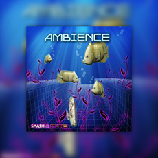 AMBIENCE