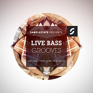LIVE BASS GROOVES