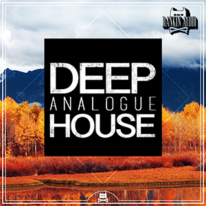 DEEP ANALOGUE HOUSE