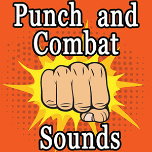 PUNCH AND COMBAT SOUNDS
