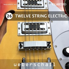 TWELVE STRING ELECTRIC / ELASTIK