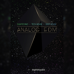 ANALOG EDM