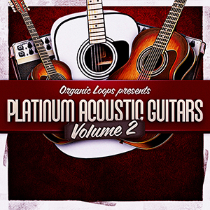 PLATINUM ACOUSTIC GUITARS 2