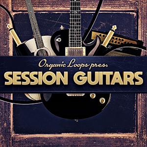 SESSION GUITARS