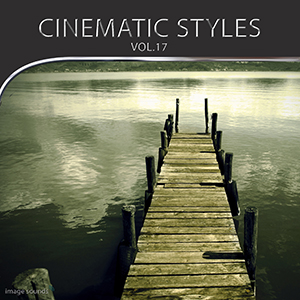 CINEMATIC STYLES 17