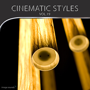 CINEMATIC STYLES 19