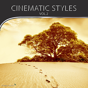 CINEMATIC STYLES 02