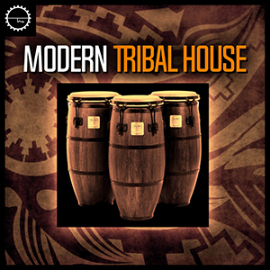 MODERN TRIBAL HOUSE