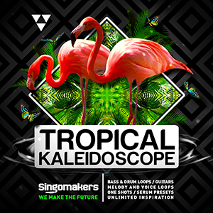 TROPICAL KALEIDOSCOPE