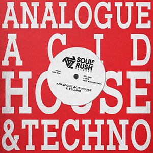 ANALOGUE ACID HOUSE AND TECHNO