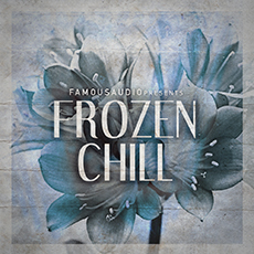 FROZEN CHILL