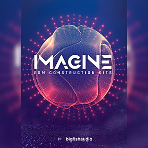 IMAGINE: EDM CONSTRUCTION KITS