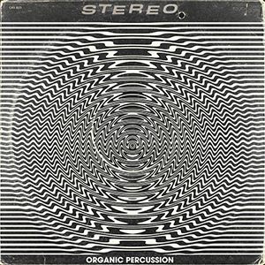 ORGANIC PERCUSSION