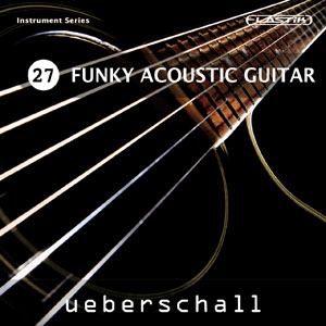 FUNKY ACOUSTIC GUITAR / ELASTIK
