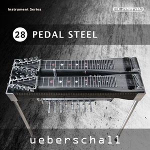 PEDAL STEEL / ELASTIK