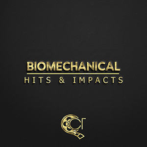 BIOMECHANICAL HITS & IMPACTS