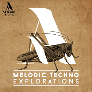 MELODIC TECHNO EXPLORATIONS