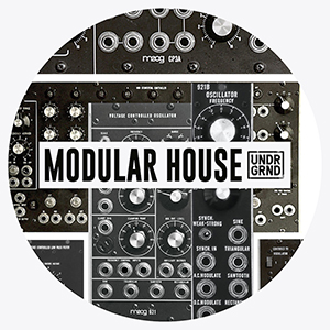 MODULAR HOUSE