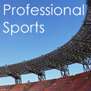 PROFESSIONAL SPORTS