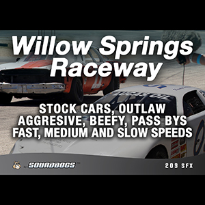 WILOW SPRINGS RACEWAY