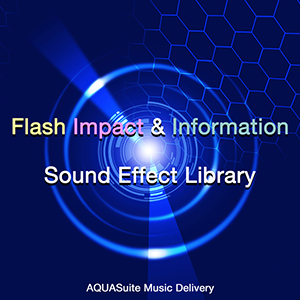 FLASH IMPACT & INFORMATION