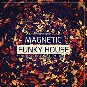 MAGNETIC FUNKY HOUSE