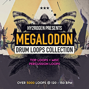 MEGALODON DRUM LOOPS COLLECTION