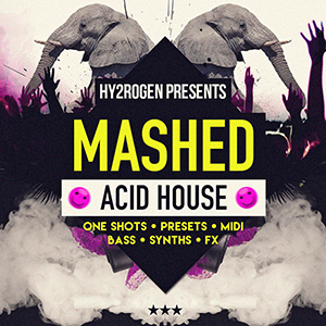 MASHED ACID HOUSE