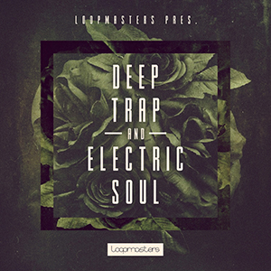 DEEP TRAP & ELECTRIC SOUL