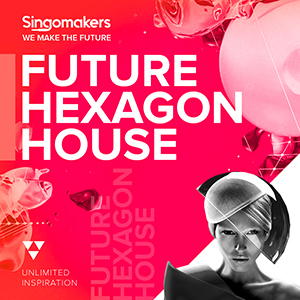 FUTURE HEXAGON HOUSE