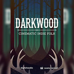 DARKWOOD: CINEMATIC INDIE FOLK
