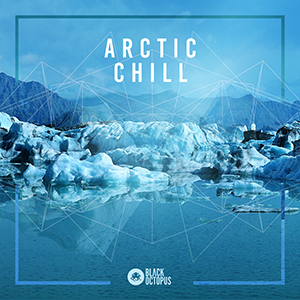 ARCTIC CHILL