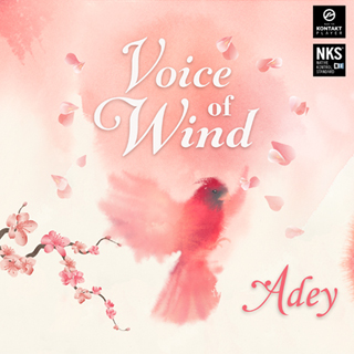 VOICE OF WIND: ADEY
